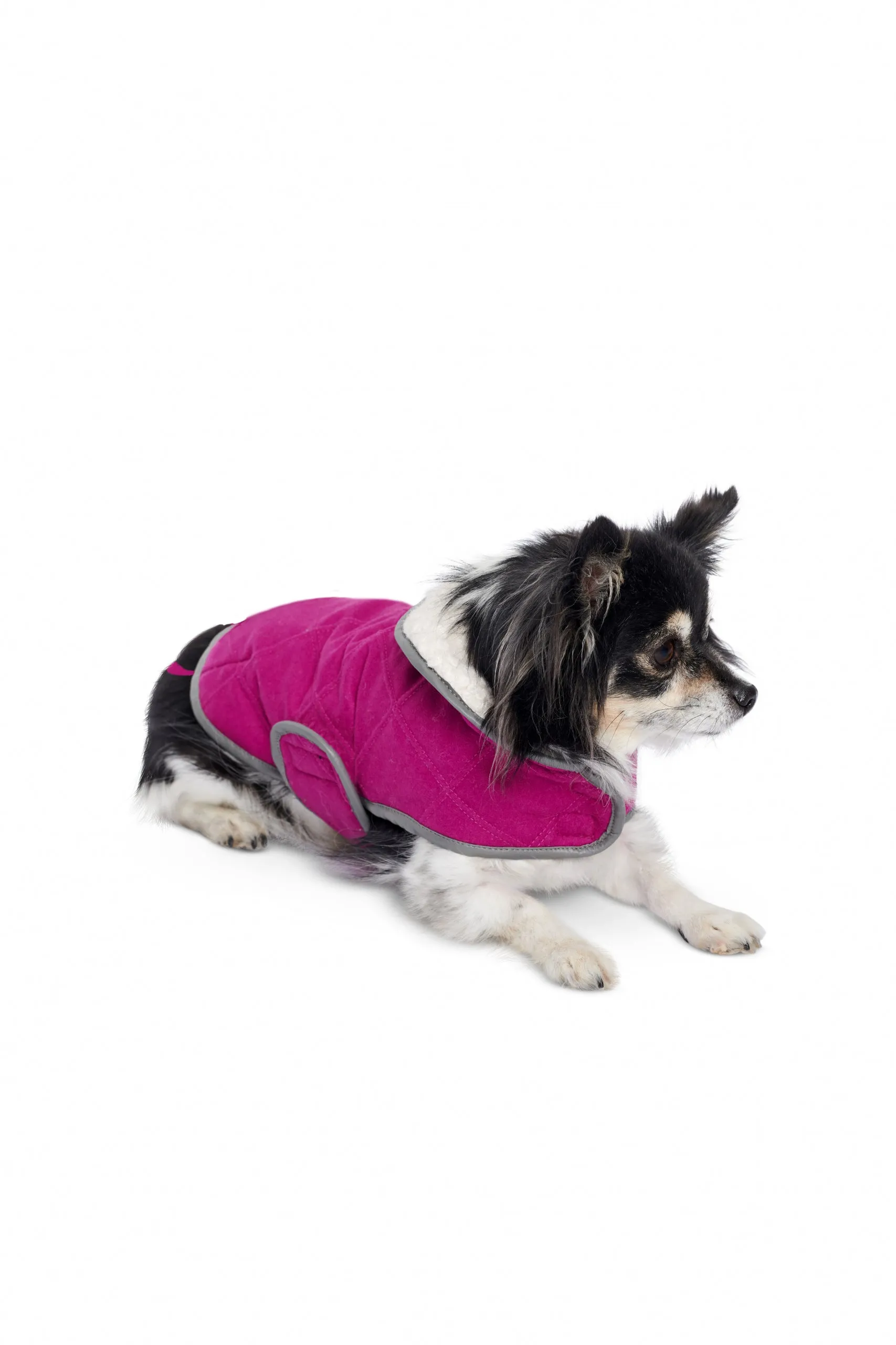 Burda Dog Coats 6049