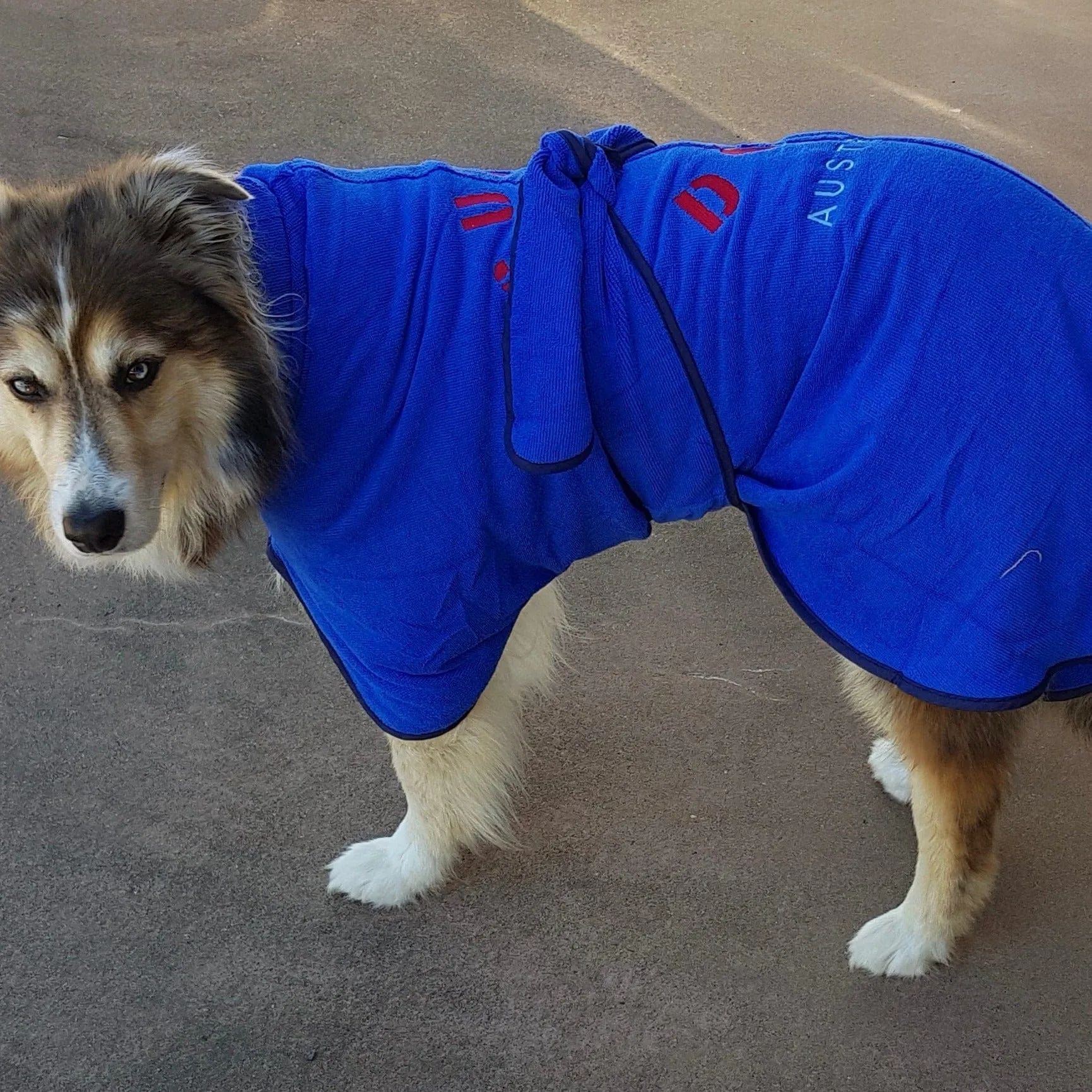 Dog Drying Coats