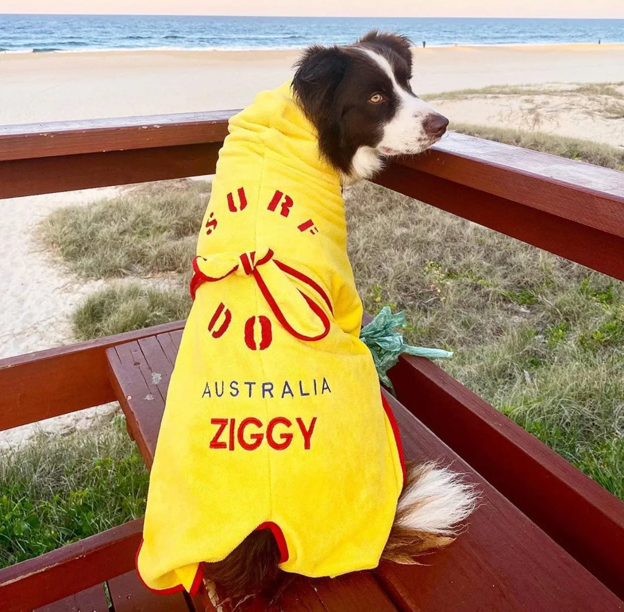 Dog Drying Coats