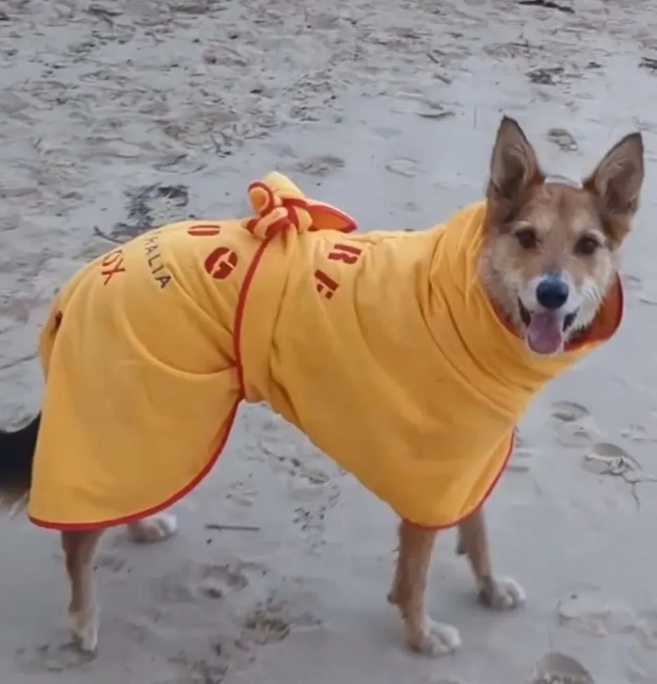 Dog Drying Coats