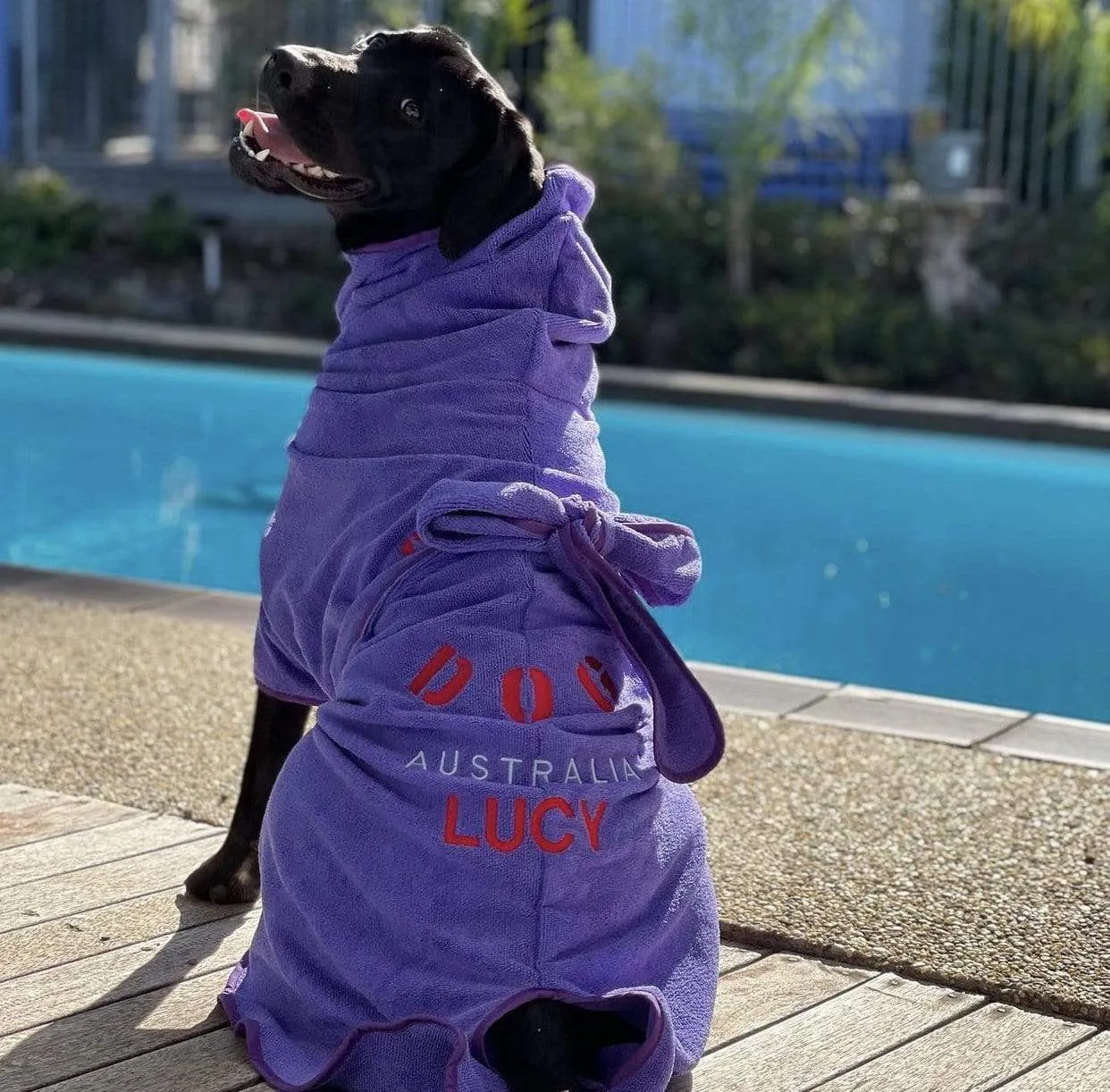 Dog Drying Coats