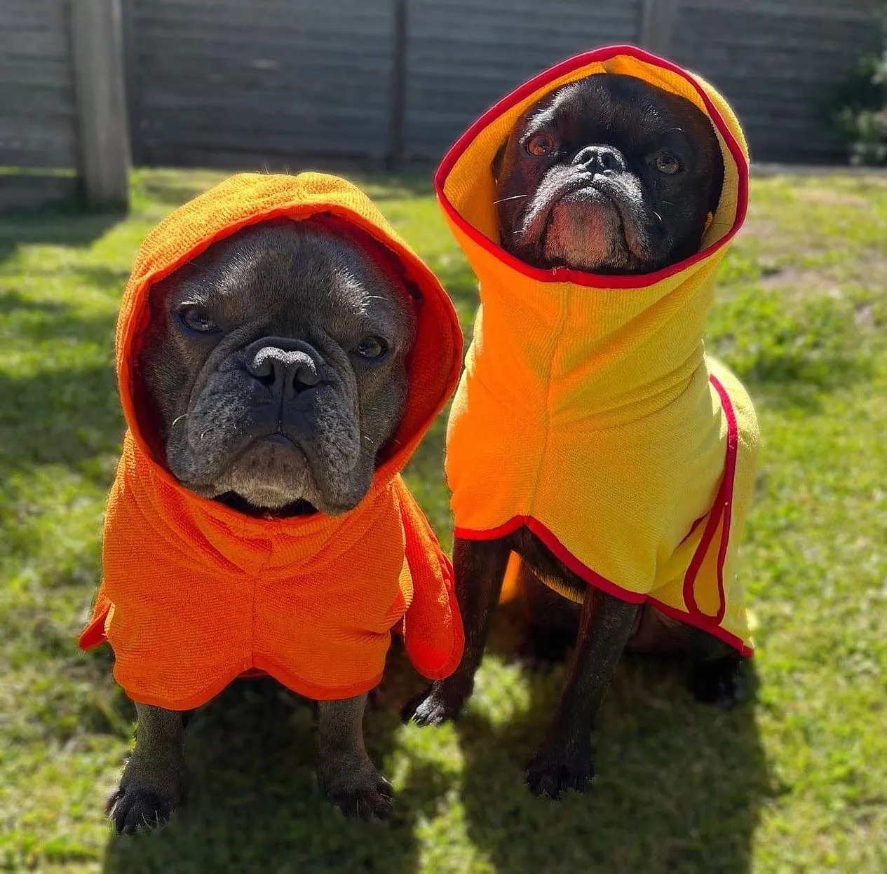 Dog Drying Coats