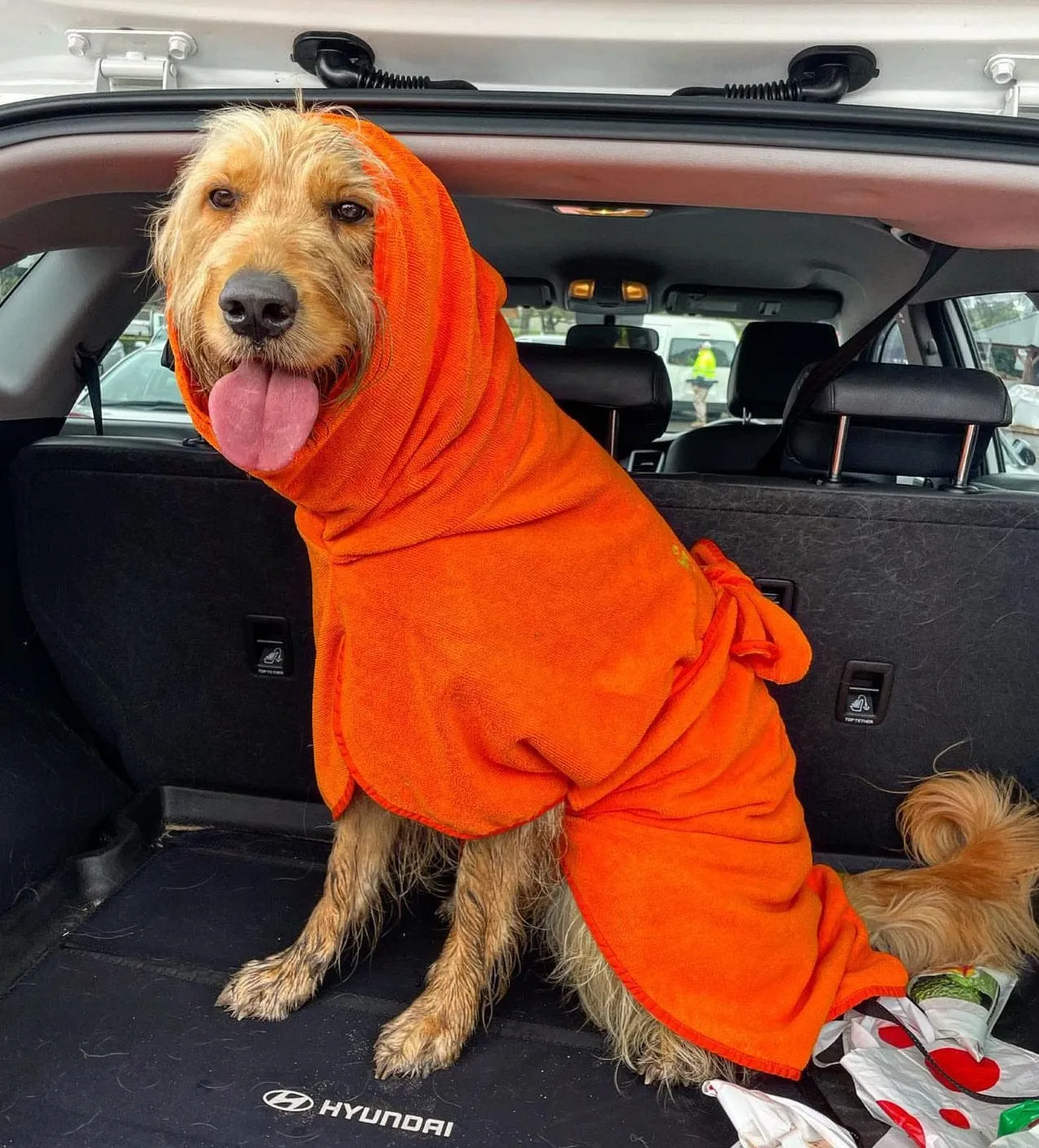 Dog Drying Coats