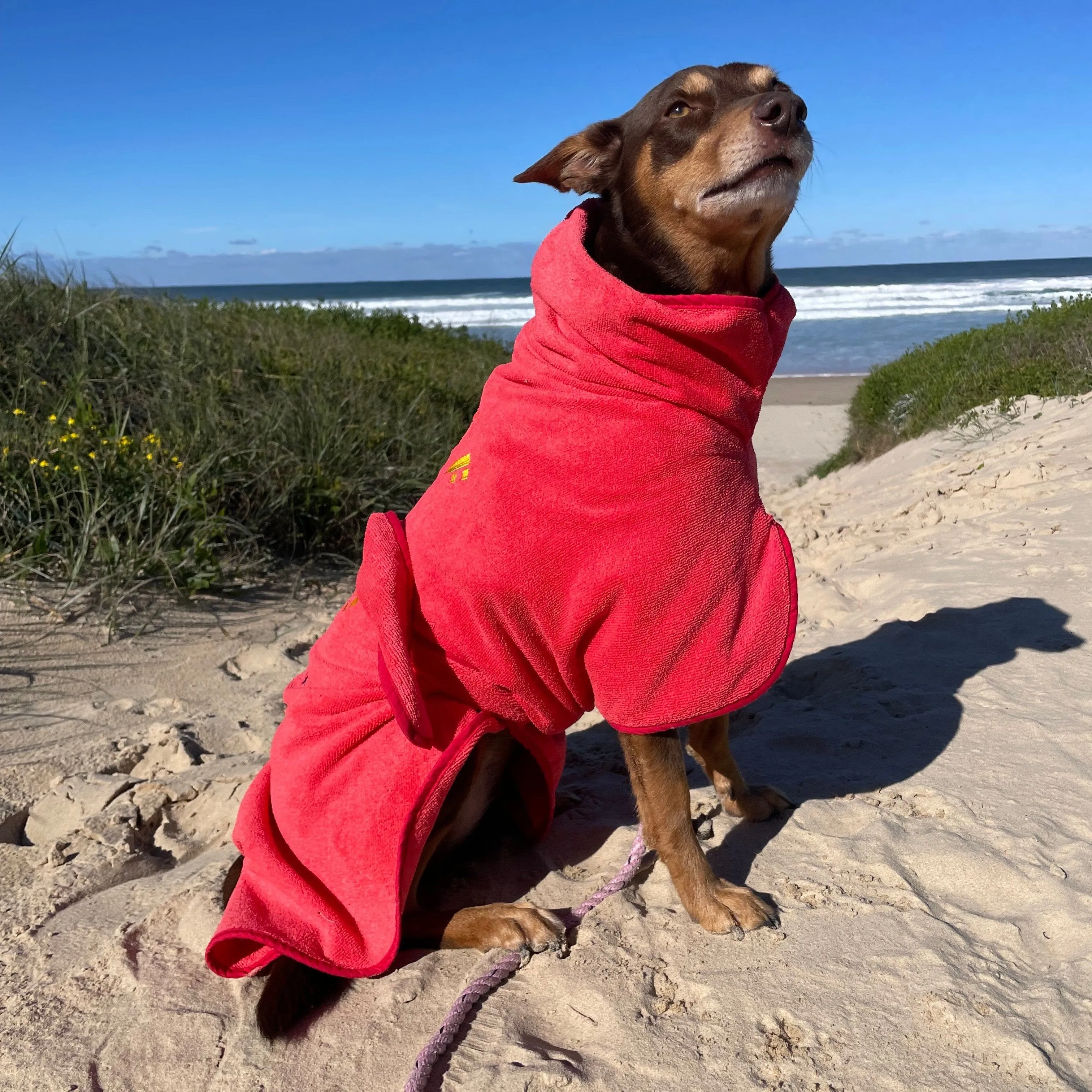 Dog Drying Coats