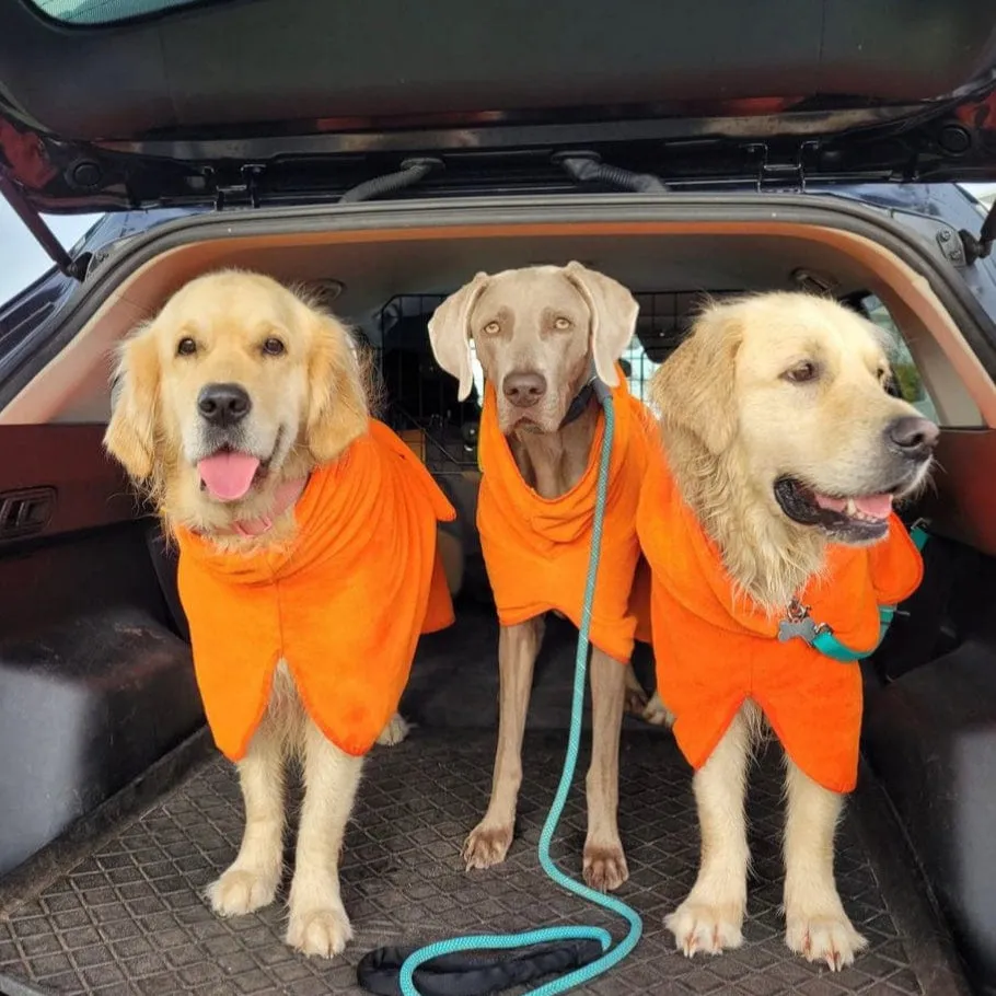 Dog Drying Coats