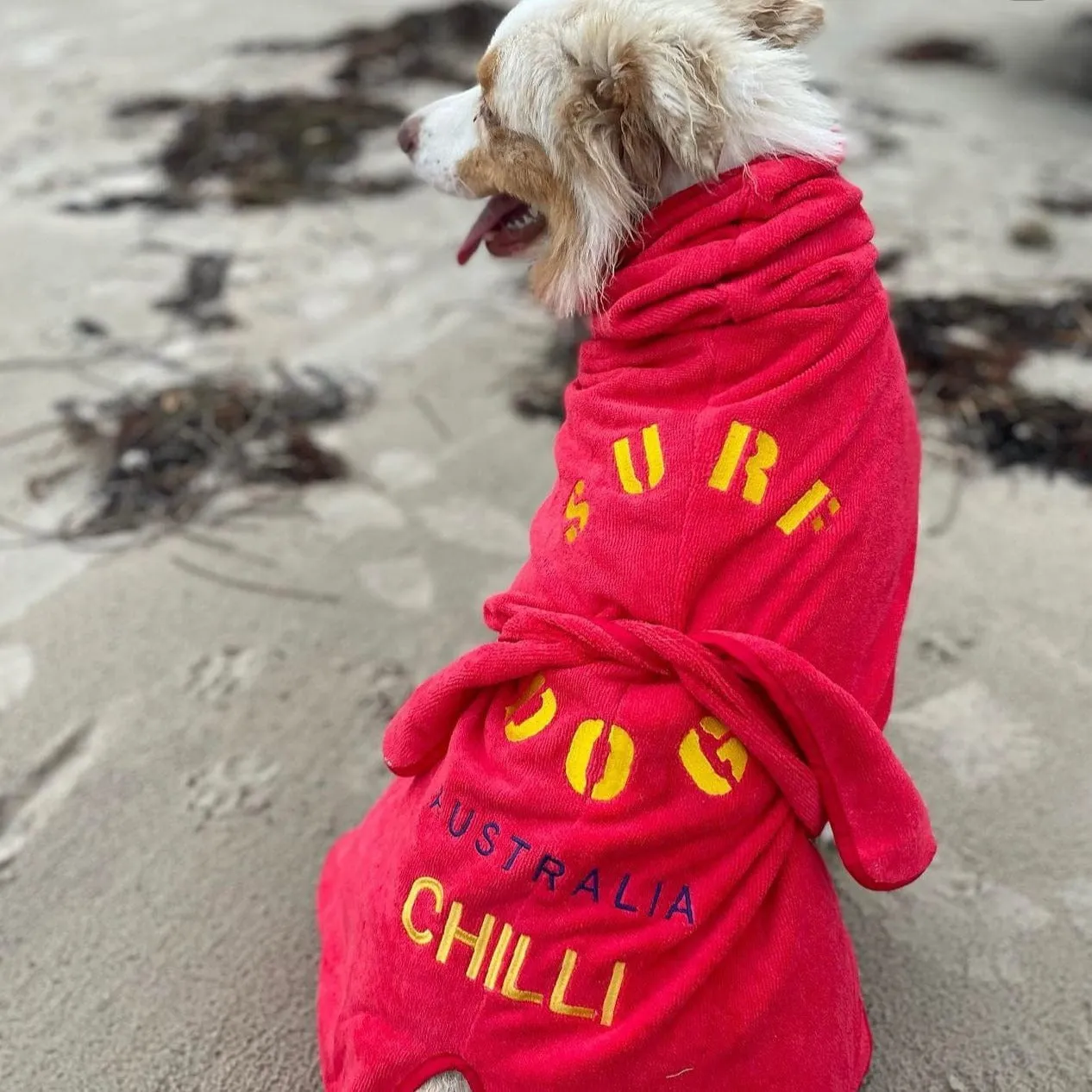 Dog Drying Coats