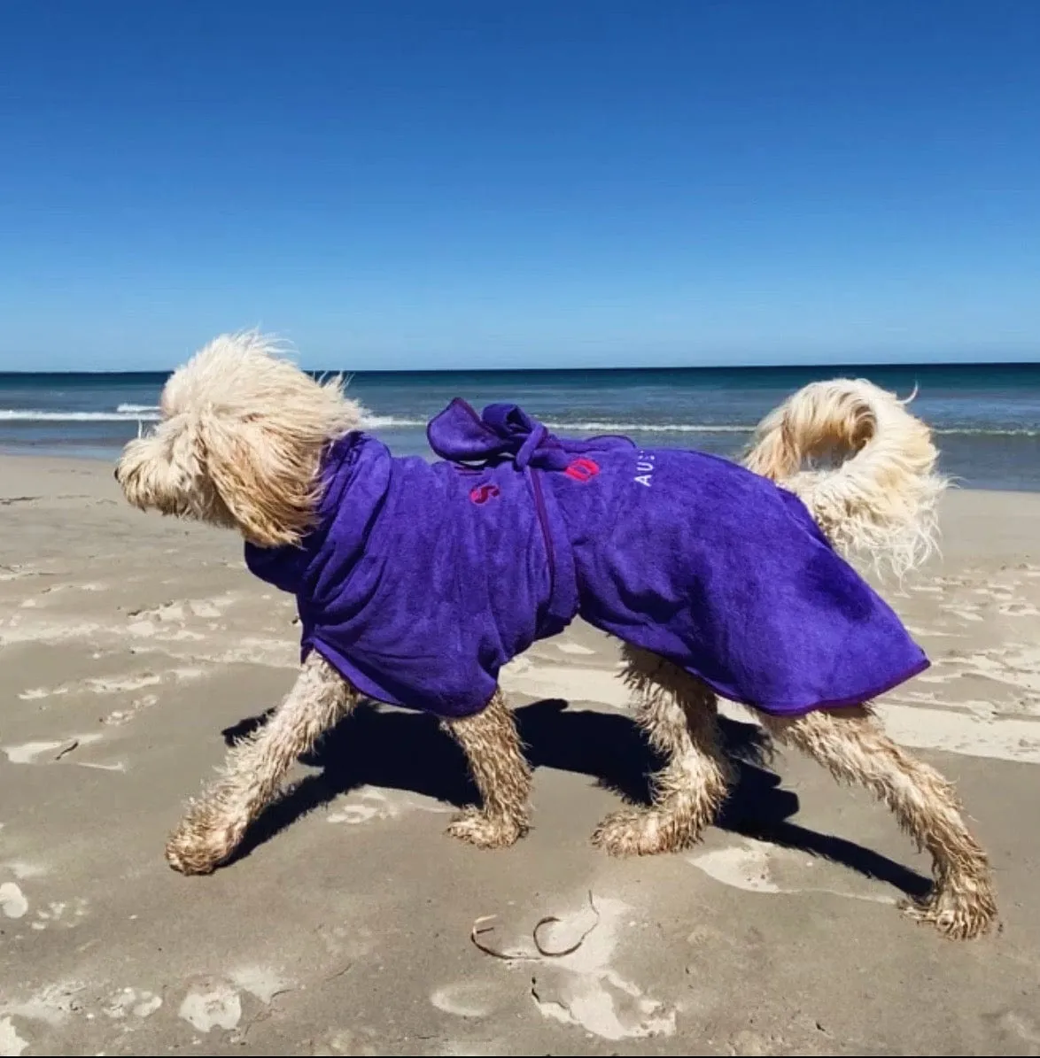 Dog Drying Coats