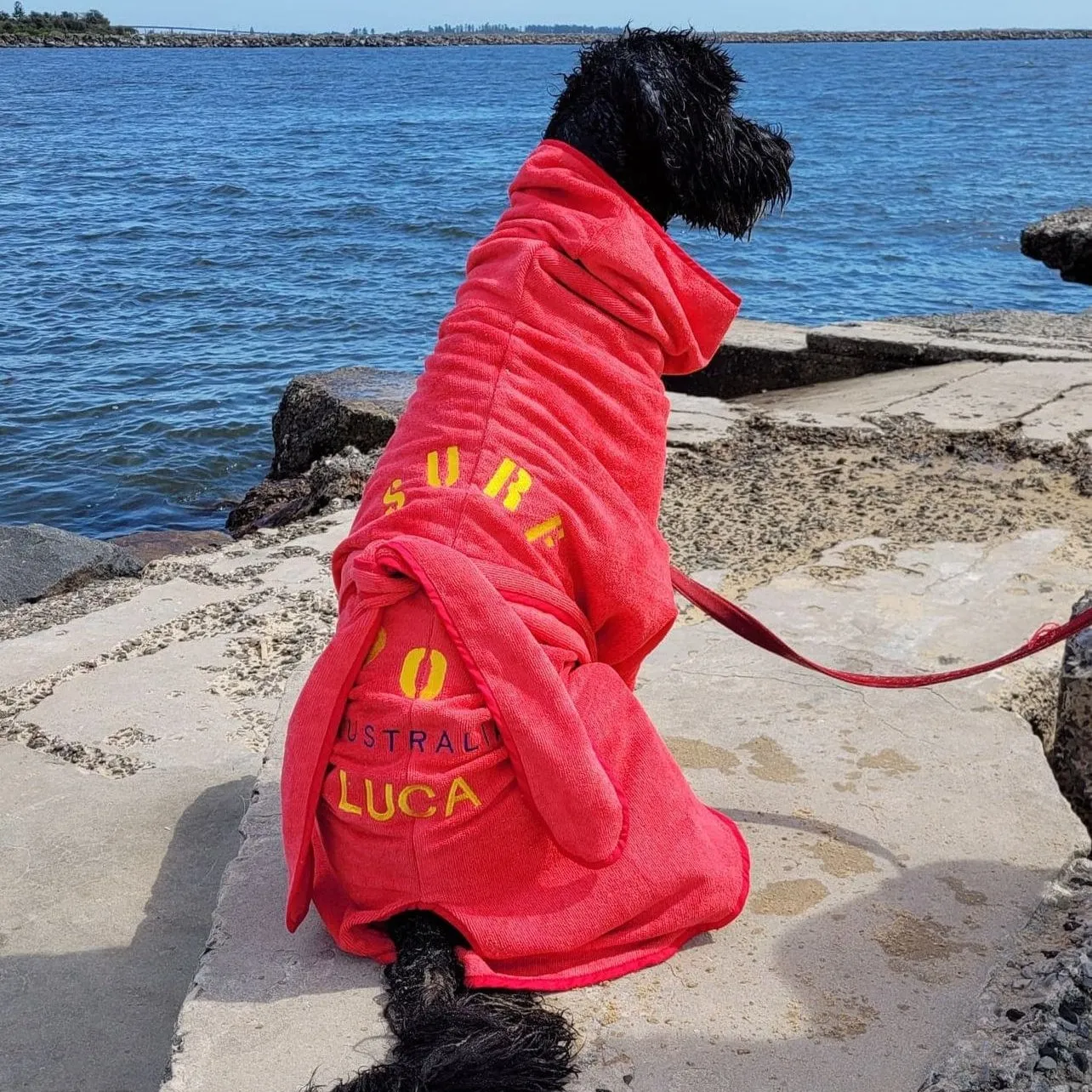 Dog Drying Coats