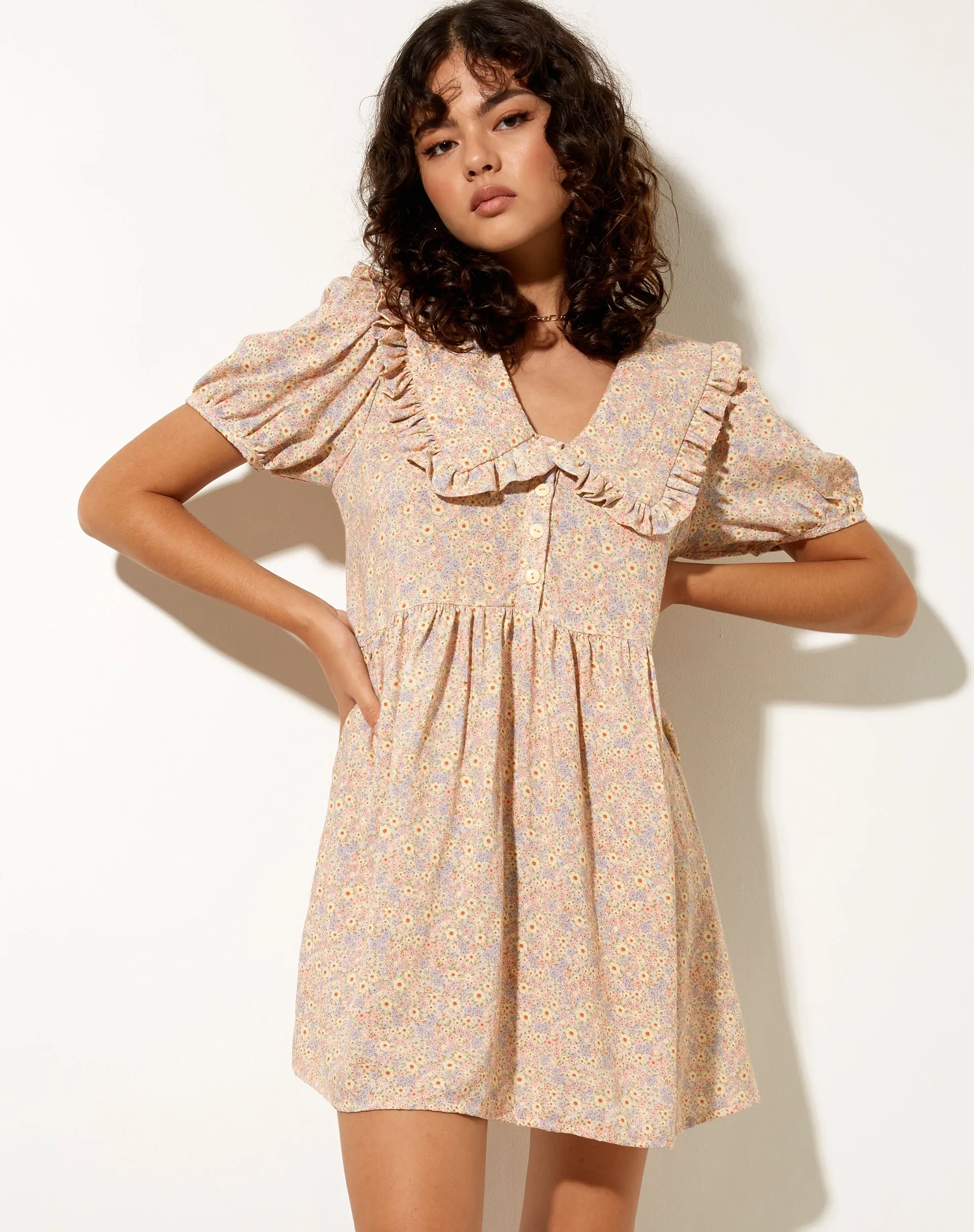 Madsen Skater Dress in 70's Prairie Girl Floral