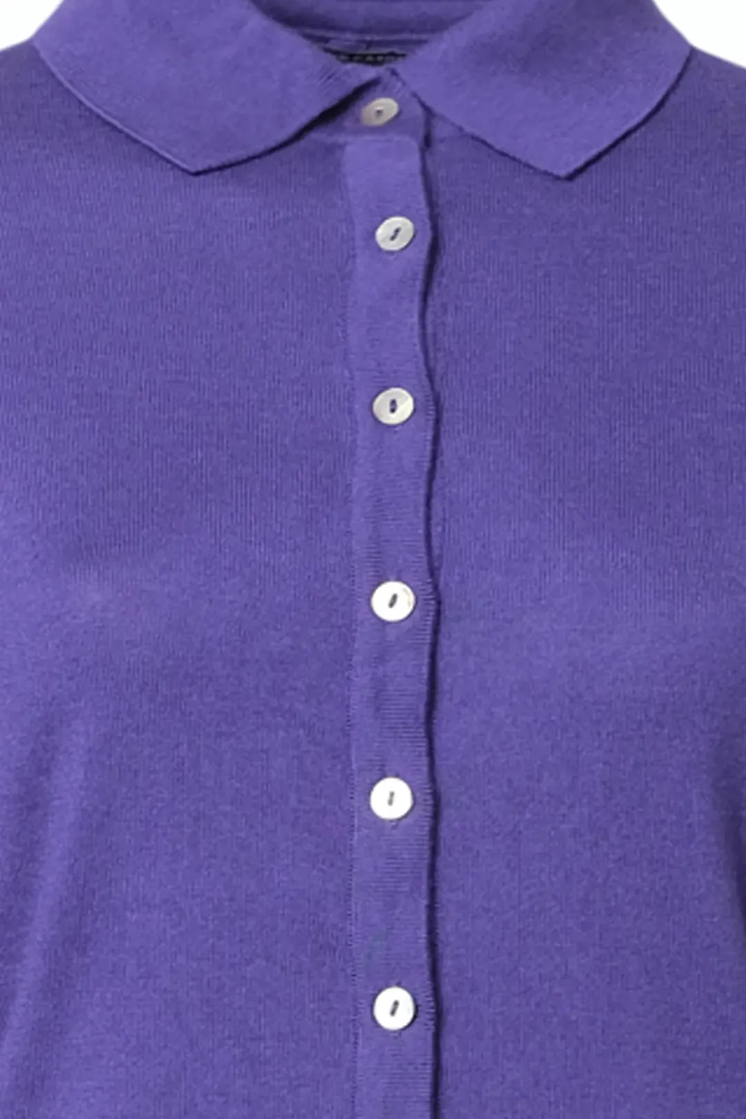 Violet Silk and Cashmere Aleyna Women's Shirt